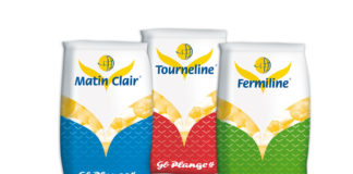AB Mauri - ameliorants GB Plange