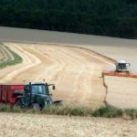 31-dijon-cereales-1
