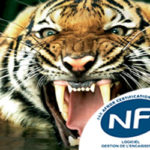 225nftigre_x250