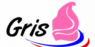 logo Gris