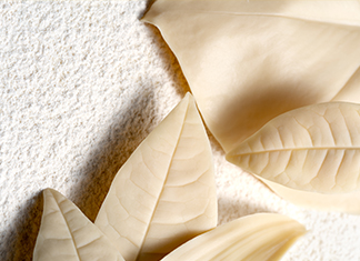 Amatika blanche 35% : une nouvelle couleur dans la palette des couvertures végétales Valrhona
