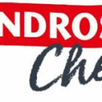 Andros logo