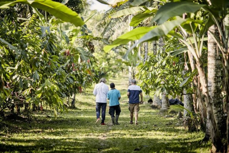 Le Fonds Solidaire Valrhona lance un appel à projets pour pérenniser les métiers du cacao